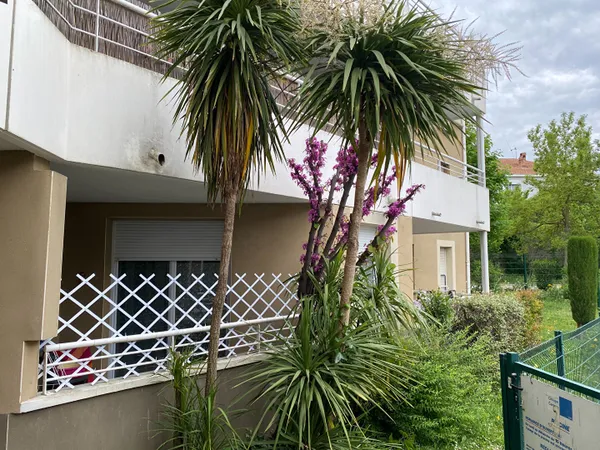 Appartement Carcassonne 2 pièce(s) 50 m2 