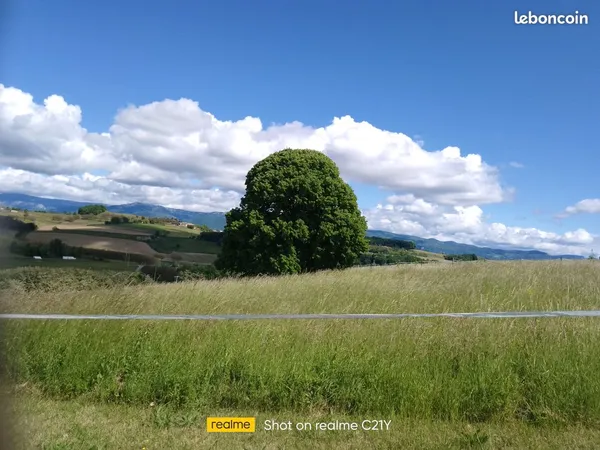 Terrain constructible 