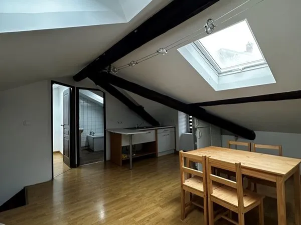 Proche pépinière - T1 Loft - Chauf gaz inclus 