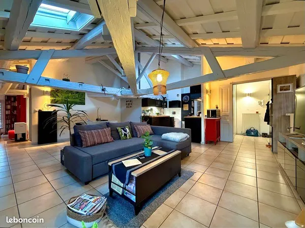 Appartement T3 d'exception en centre historique 