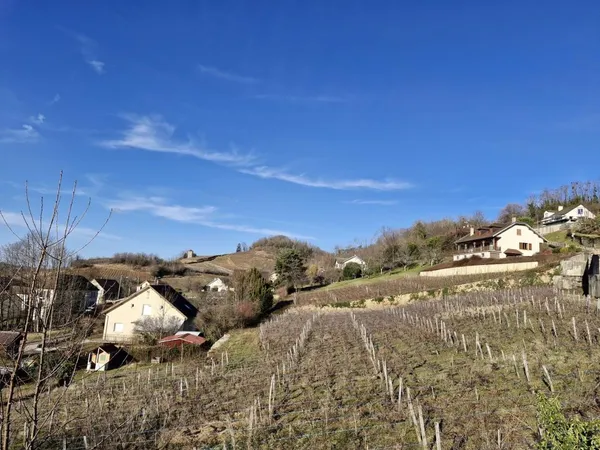 Terrain en individuel 1500 m² 