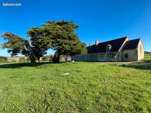Maison 8 pièces 313 m² 