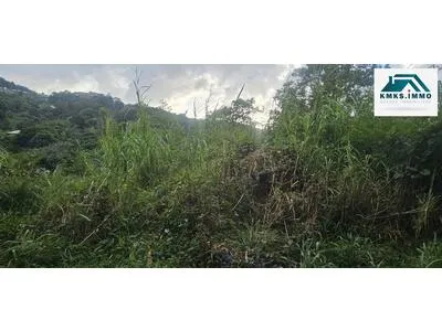 Terrain à vendre dans un quartier paisible 