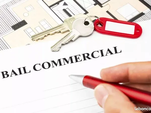 Cession droit au bail commercial emplacement de choix sur la rn3 planes des cafres 