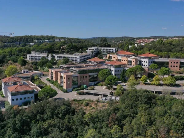 Bureaux 335 m² 