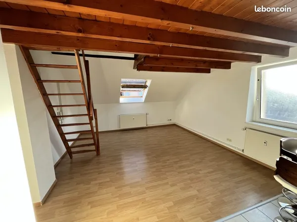 Duplex 2 pièces 40 m² 