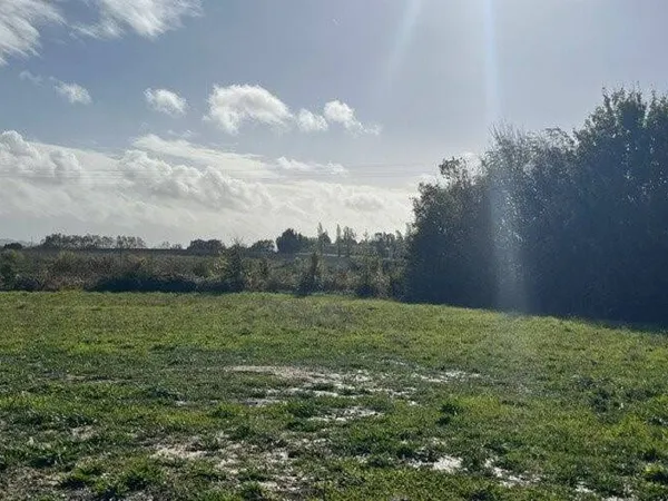 Terrain 1000 m² 