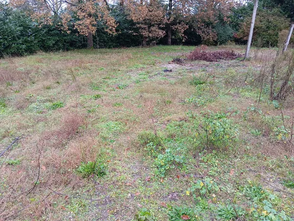 Terrain 430 m² 
