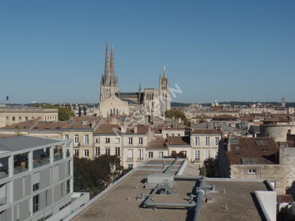 BORDEAUX-HOTEL DE VILLE - BEL APPARTEMENT TERRASSE roof top avec vue sur tout Bordeaux 