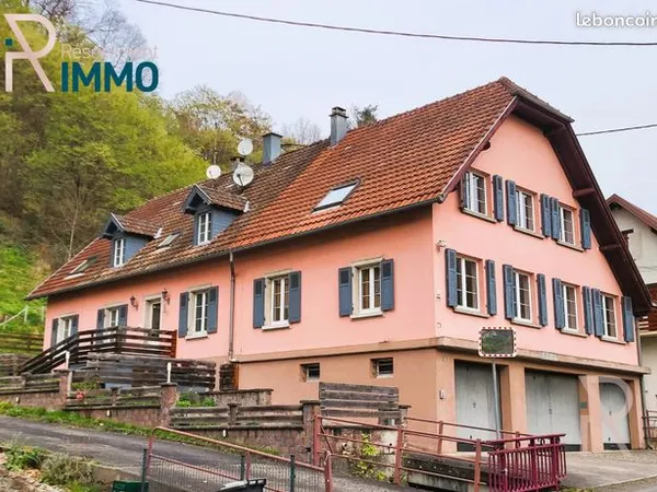 Maison 9 pièces 265 m² 
