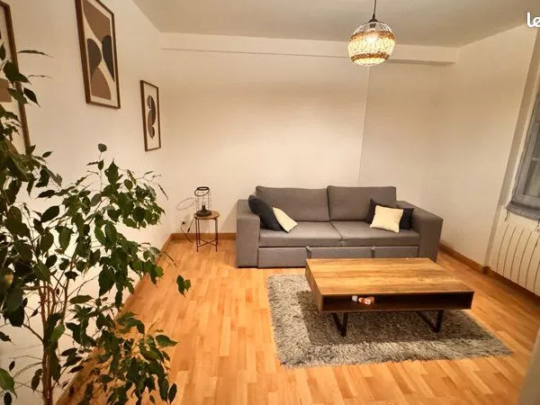 Appartement entièrement rénové place du palet 