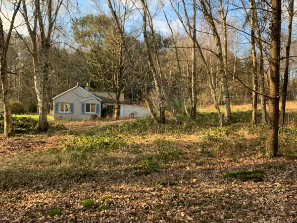 Vends maison 
