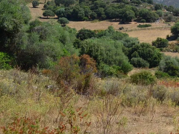 Terrain constructible de 2468m² 