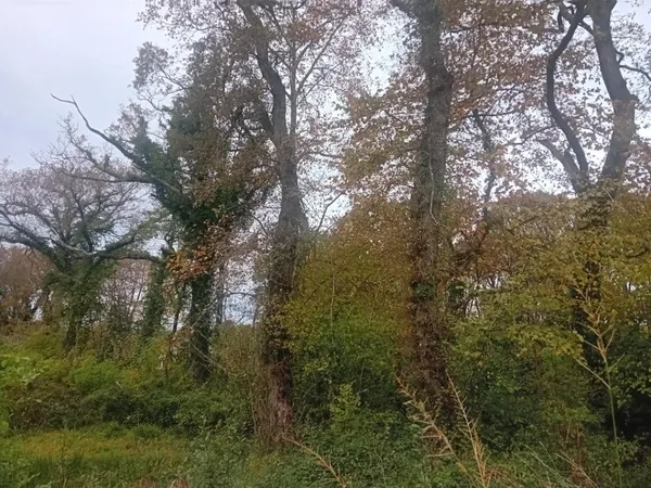 Terrain 960 m² 