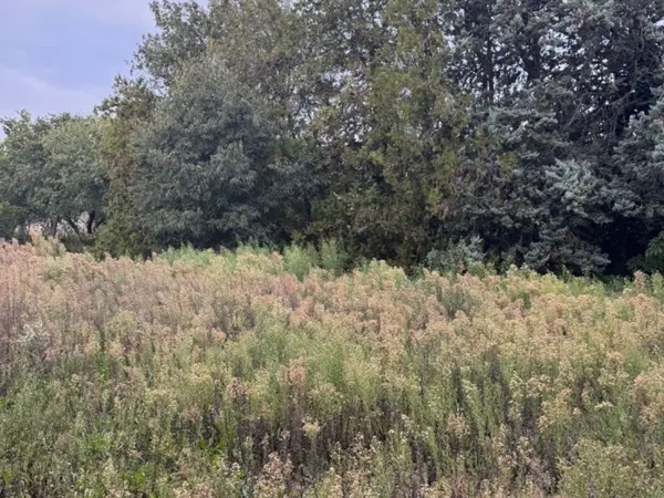 Terrain 1160 m² 