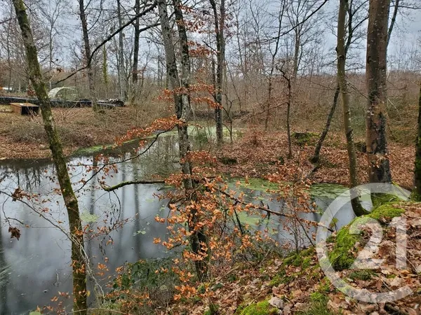 Terrain 2008 m² 