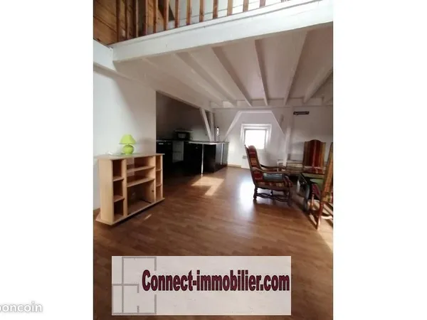 Duplex 2 pièces 35 m² 