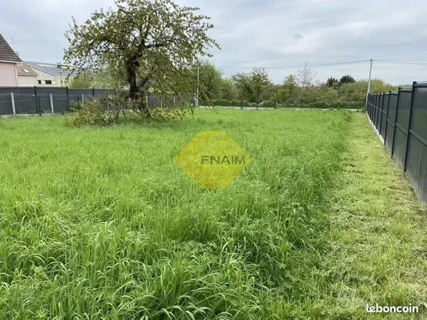 Terrain 589 m² Saulx-les-Chartreux 