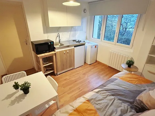 Appartement 2 pièces meublé - Entièrement rénové - Parking & cave - Charges forfaitaires 