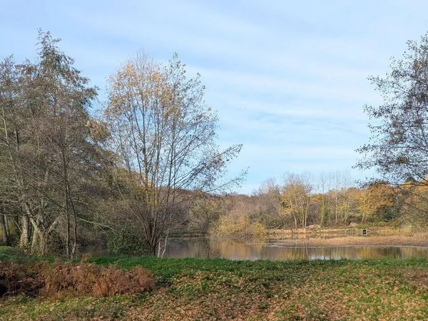 Terrain 10000 m² 