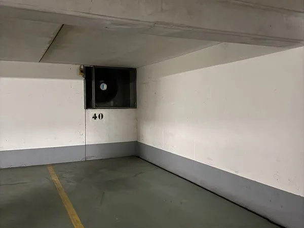 Place de parking secteur Convention Paris 15 