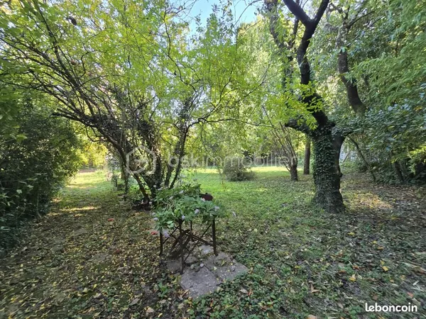 Immeuble 254 m² 