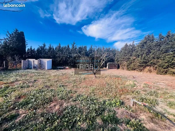 Terrain 1995 m² Thuir 
