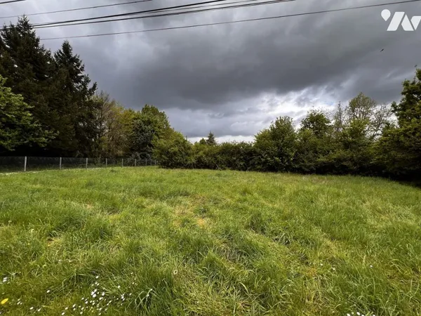 Terrain 3930 m² 