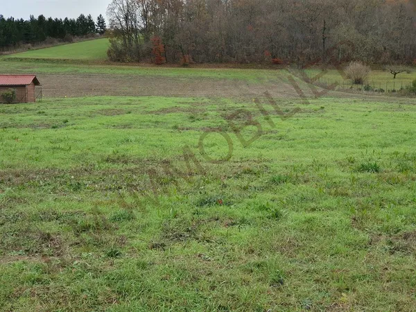 TERRAIN A BATIR 855M² PLAT EN SECONDE LIGNE YONNE 