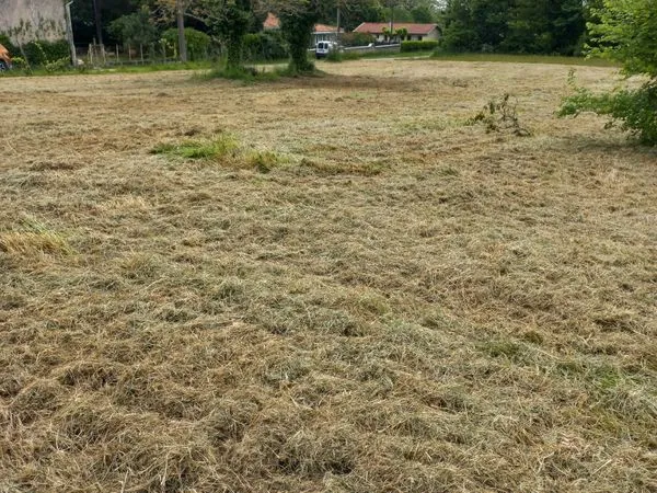 Terrain constructible 