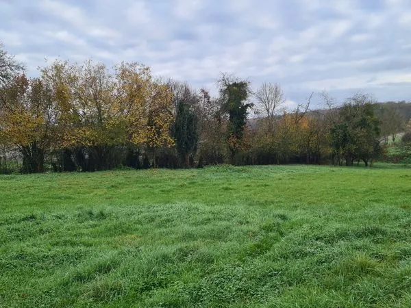 Terrain 1 hectare avec garage 