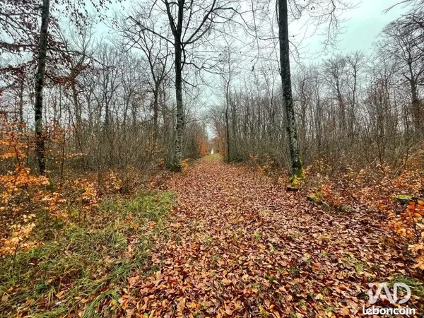 Terrain 167907 m² ORQUEVAUX 