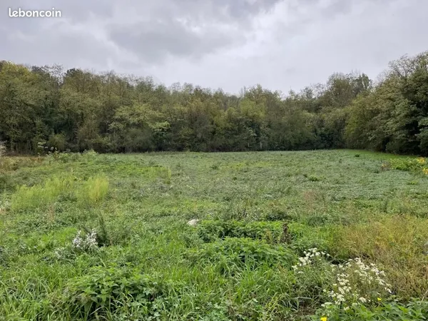 Terrain 1 150 m² Fleurieu Sur Saone 