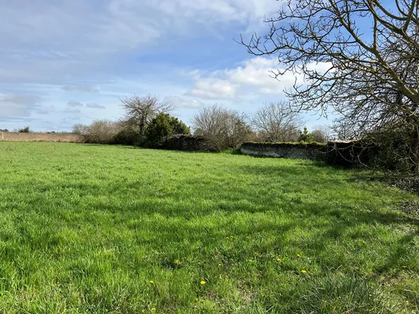 Terrain 2711 m² 