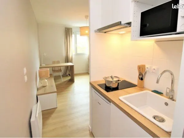 Magnifique appartement T1 avec rénovation de standing 