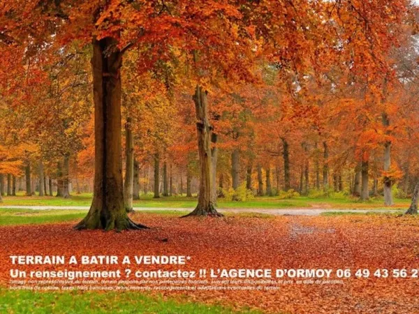 Terrain 1664 m²