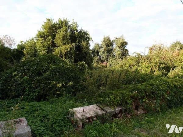 Terrain 553 m² 
