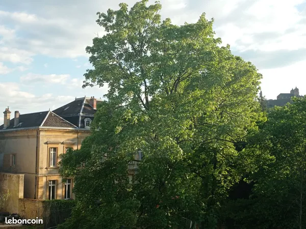 50 m² pour locataire (f/m) tranquille 