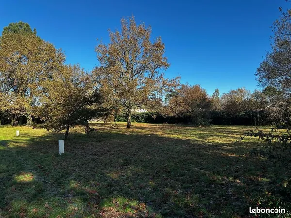 Terrain 806 m² Lege Cap Ferret 