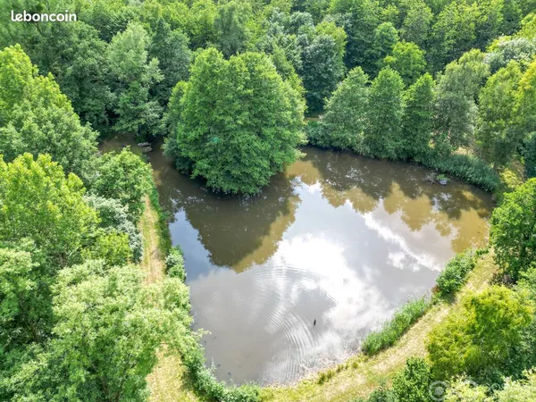 Terrain 25 000 m² Girondelle 