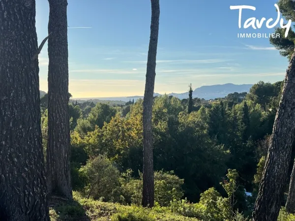Propriété au milieu des vignes et des Oliviers - 83270 SAINT-CYR 