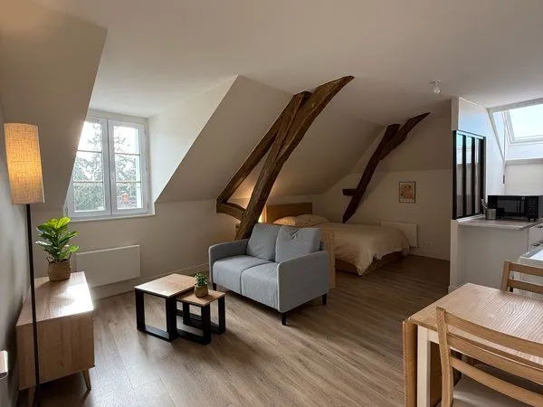 T1 meublé refait à neuf - 32 m² Carrez (38 m² au sol) - rue Tudelle / Tram Dauphine 