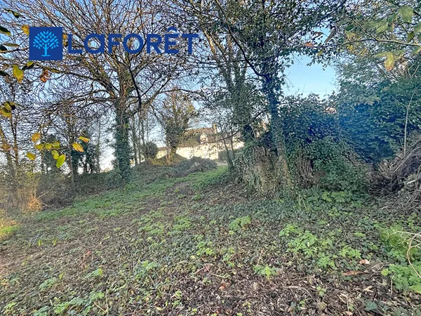 Terrain 550 m² 