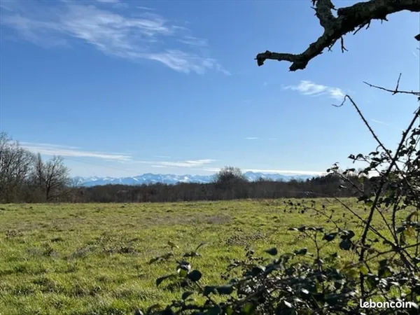 Terrain 23 935 m² Mirande 