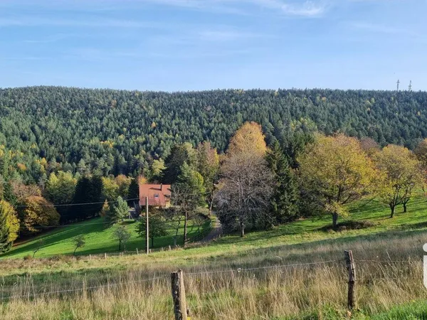 Propriété 
