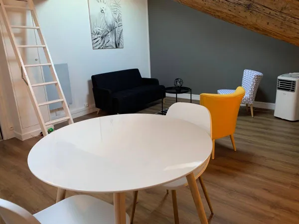 Loue appartement meublé lyon 2 ainay 