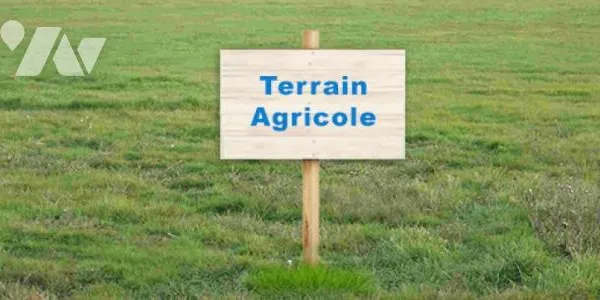 Terrain 9600 m² 