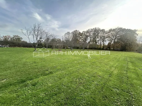 Terrain 3784 m² 