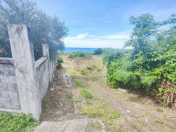 Propriété 2265 m² 