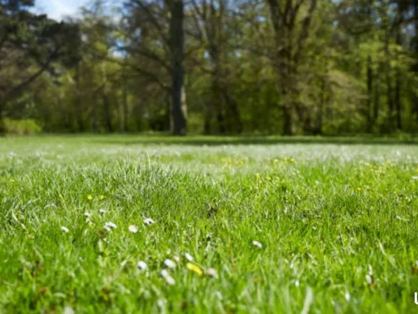 Terrain 527 m² Bachy 